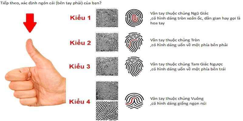 xem sinh trac van tay dinh huong nghe nghiep