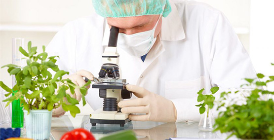 ngành công nghệ thực phẩm