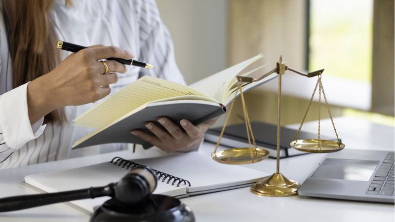 review ngành Luật kinh tế