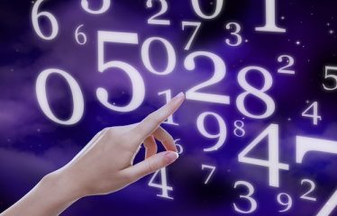 than so hoc dinh huong nghe nghiep